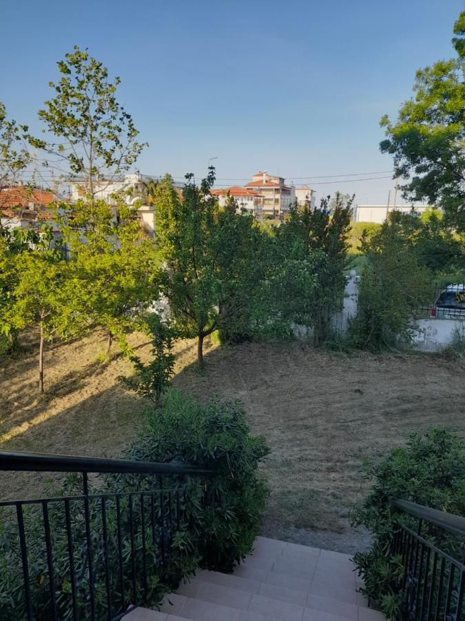 Villa Leopard Stavros  Eksteriør billede
